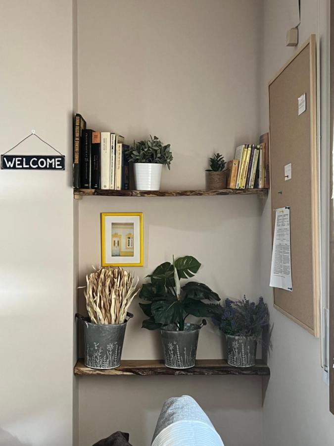 Apartamento Acogedor Pineta Bielsa Exteriér fotografie
